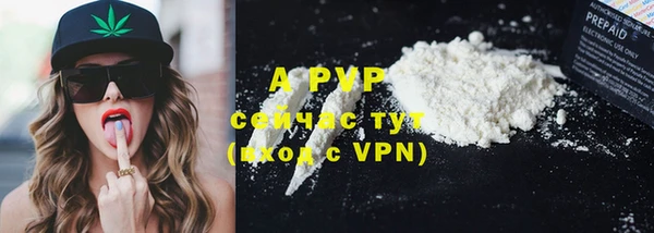стафф Богданович