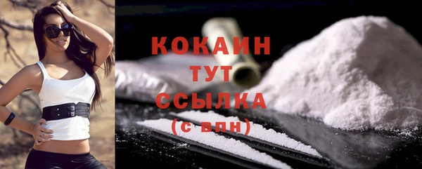 mdpv Богородицк