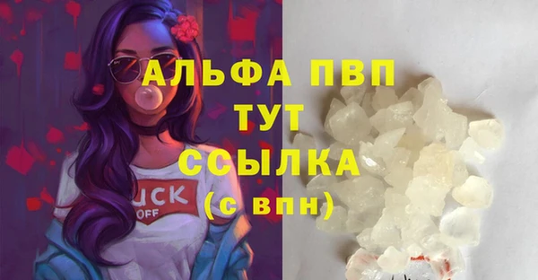 стафф Богданович