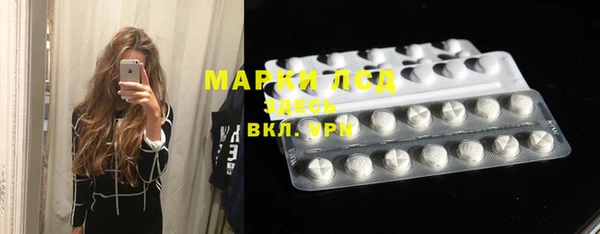 стафф Богданович