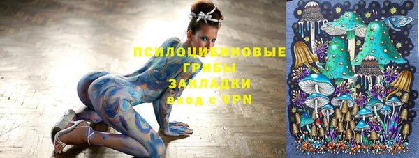 стафф Богданович