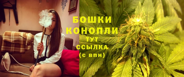 mdpv Богородицк