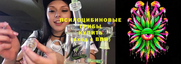 стафф Богданович