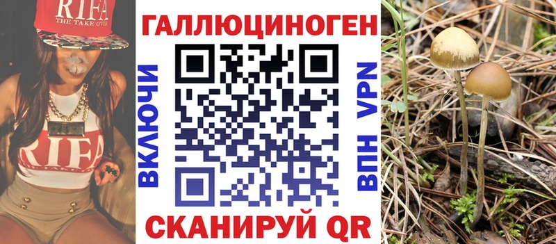ОМГ ОМГ рабочий сайт  Ижевск  Псилоцибиновые грибы GOLDEN TEACHER  наркота 